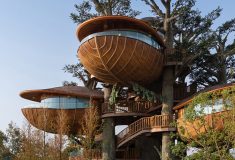 Эти сборные домики-гнезда искусно встроены в окружающие деревья