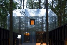 Эти домики на деревьях превращают китайский лес в живую художественную галерею