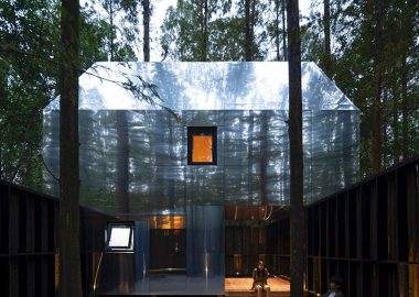 Эти домики на деревьях превращают китайский лес в живую художественную галерею