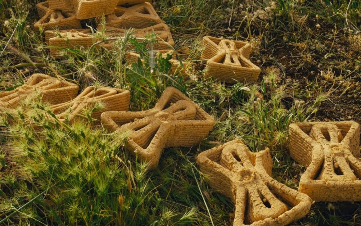 3D-печатные кирпичи помогут молодым саженцам пережить изменение климата
