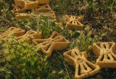 3D-печатные кирпичи помогут молодым саженцам пережить изменение климата