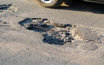 Асфальт будущего: вместо нефти — водоросли