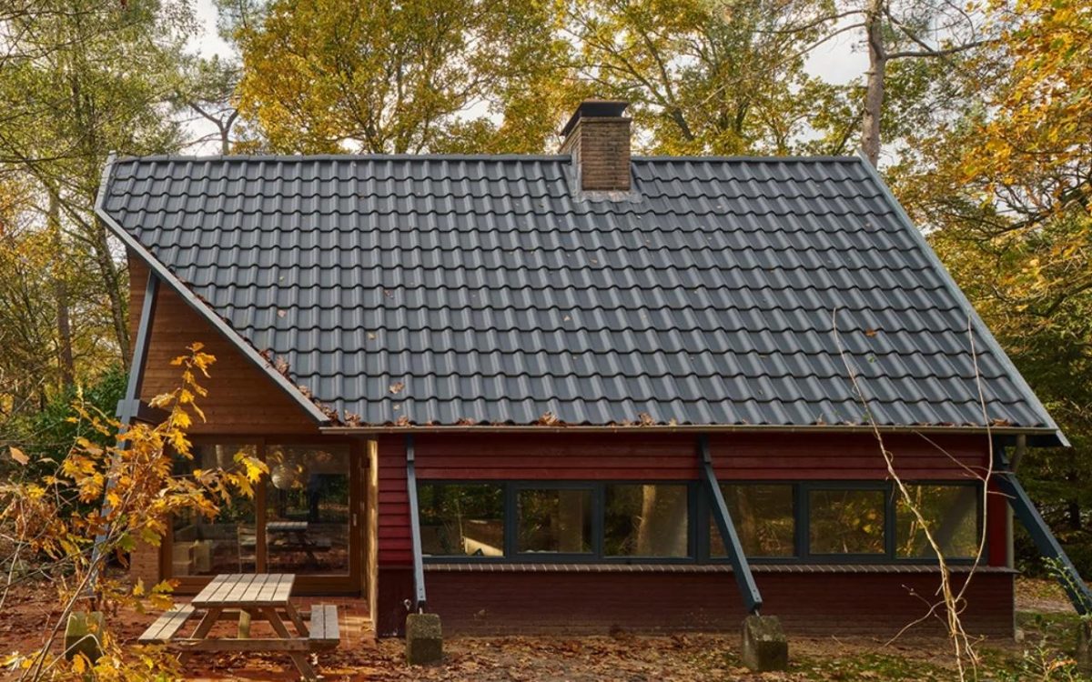 Этот голландский А-образный дом вмещает не только людей, но и птиц и летучих мышей