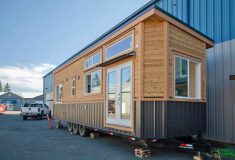 Dove: полноценная жизнь на одном уровне