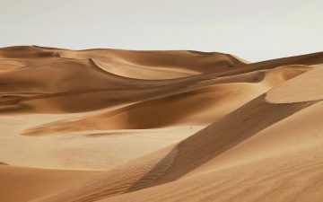 Древесные отходы превращают пустынный песок в строительный материал