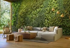 Умная зелёная стена: как технологии оживляют архитектуру