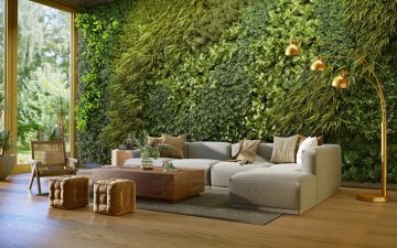 Умная зелёная стена: как технологии оживляют архитектуру