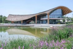 Ресторан Lakeside: архитектура, в которой дерево ведёт себя как лес