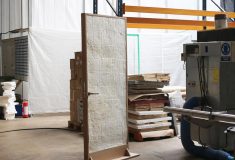 Первая дверь из грибов: как мицелий меняет будущее строительства