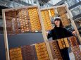 Архитурный материал будущего: ученые создали 3D-печатный биокомпозит из дрожжей