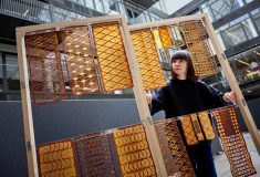 Архитурный материал будущего: ученые создали 3D-печатный биокомпозит из дрожжей